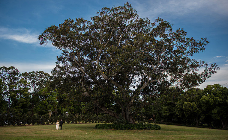 Jacqueline & Martin. A Bangalow Wedding.